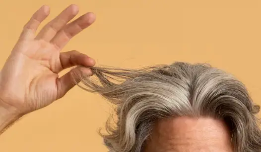 wellhealthorganic.com/know-the-causes-of-white-hair-and-easy-ways-to-prevent-it-naturally